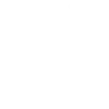 Testing Capabilities